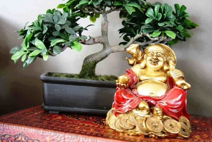 Szczęście i dobrobyt w domu według Feng Shui